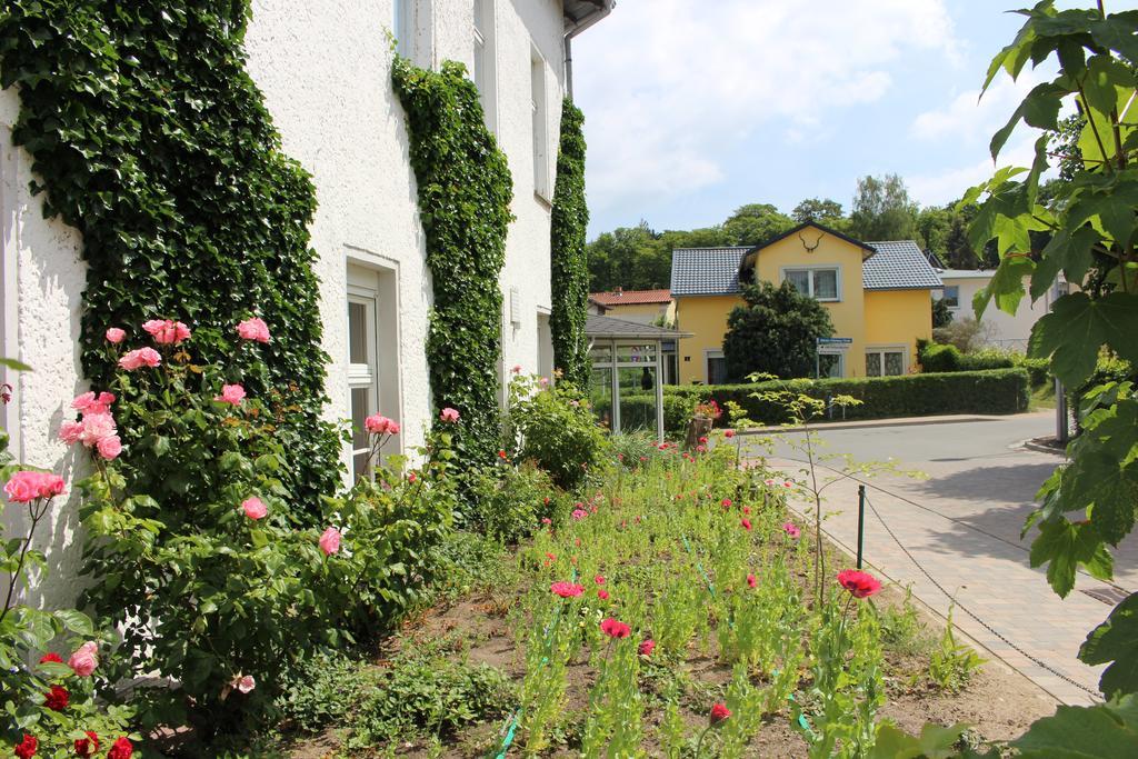 Baltisches Haus Pension Moll Zinnowitz Eksteriør bilde